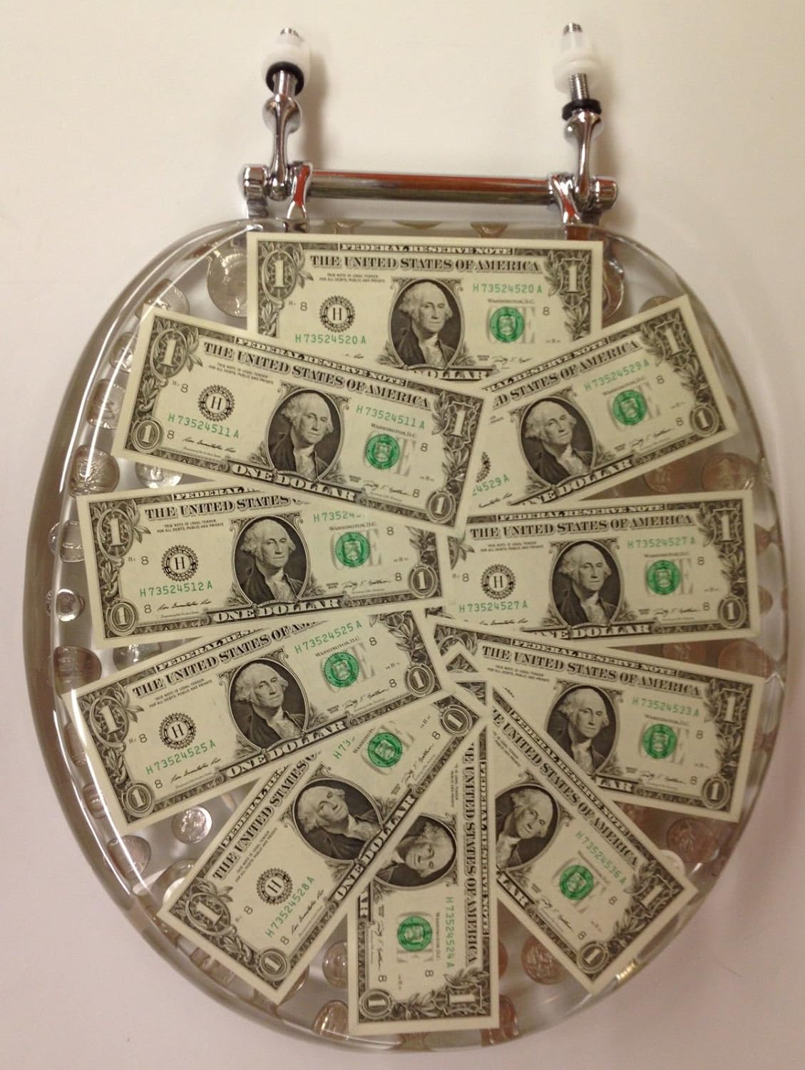 Coin Toilet Seat Filled with Money Fun and Special Toilet Decorations