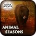 Hidden Scenes - Animal Seasons