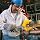 DEWALT DW328 Variable Speed Deep Cut Portable Band Saw