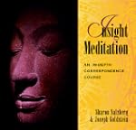 Insight Meditation: An In-Depth Corre...