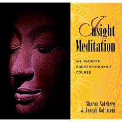 Insight Meditation: An in-Depth Correspondence Course