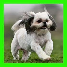 Cute Dogs Jigsaw Puzzles (Ads Free)