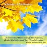 Image of Splendor of Meditation