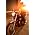 Thumbnail image of Phosphorescent