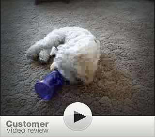 Click to watch this video