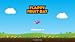 Flappy Fruit Bat