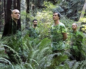 Image de Sunny Day Real Estate