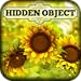Hidden Object - Country Corner