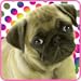 Dog Painting