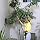 Mr. Long Arm 741 Ostrich Feather Duster with 3 to 6 Foot Extension Pole
