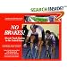 No Brakes! Bicycle Track Racing in the United States