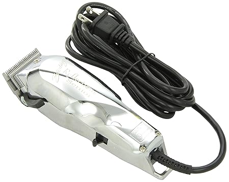 815CXv2o1WL._SX450_.jpg