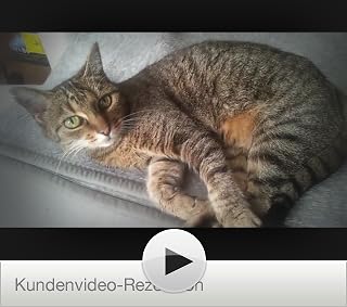 Klicken, um dieses Video zu sehen