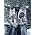 Vignette de Dimmu Borgir