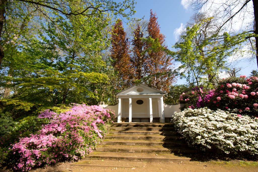 Amazon.com: Interactive Online Photography Course: Posters & Prints Amazon.com: Interactive Online Photography Course: Posters & Prints