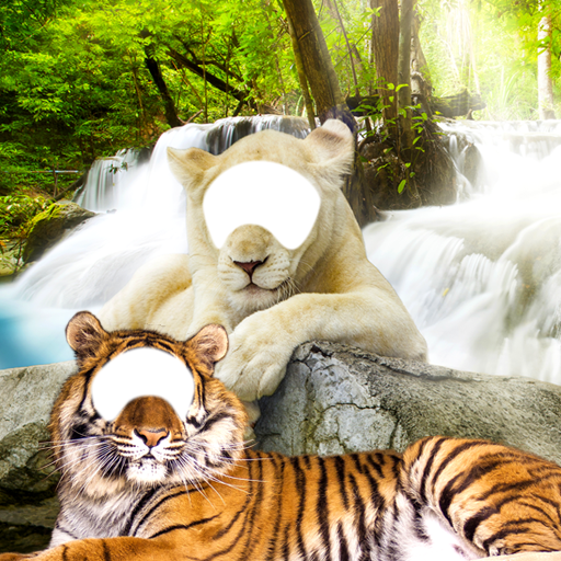 Lion & Tiger Photo Editor