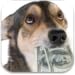 Safe Payday Loans