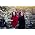 Thumbnail image of The Unthanks