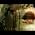Video von Hannes Wildecker