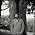 Vignette de Ray LaMontagne