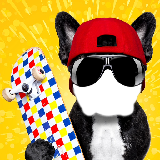 Funny Dogs Photo Montage