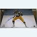 Rod Woodson (Pittsburgh Steelers) Signed Autographed 16x20 Photo (PSA/DNA COA)