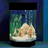Visual Visual Effects Hexagon Aquascape Aquarium