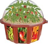 Hot Peppers Garden