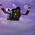 Video of Dan Poynter