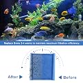 HWEIUA 12 Pack Rite-Size C Filter Cartridges