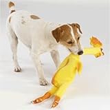 Zanies Rubber Chicken 24 In