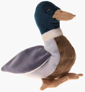 Amazon.com: Ty Beanie Babies - Jake the Duck - Retired