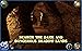 Brightstone Mysteries: Paranormal Hotel
