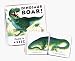 Dinosaur Roar! Bath Book: Bath Book
