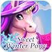 Sweet Winter Pony