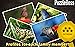 Jigsaw Puzzles: Butterflies
