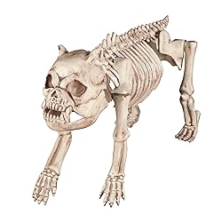 Halloween Skeleton Dog display
