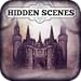 Hidden Scenes - Magic Kingdom
