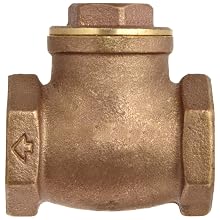 Dixon SWCV100 Brass Horizontal Swing Check Valve, 1" NPT Female