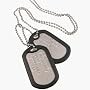 MILITARY DOG TAGS - Set of 2 personalised army style dog ID tags with ball chains & silencers