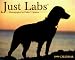 Book Just Labs (Wl)