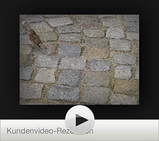 Klicken, um dieses Video zu sehen
