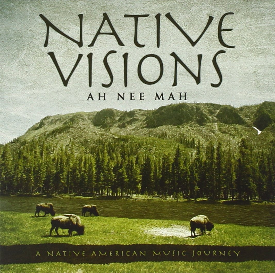 Top 10 Native American Music CDs Native American Pow Wows