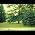 Video of Sanctus Real
