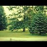 Sanctus Real - Lead Me video