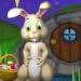 My Bunny Friend