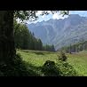 Care for the Journey Trailer