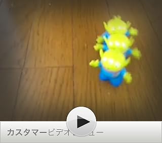 この動画を観るにはクリックします。
