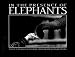 Book In the Presence of Elephants