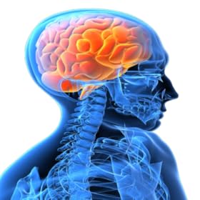 Brain Age Test